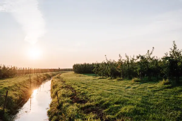 Ein Wasserkanal in einem Feld mit Bäumen im Hintergrund.