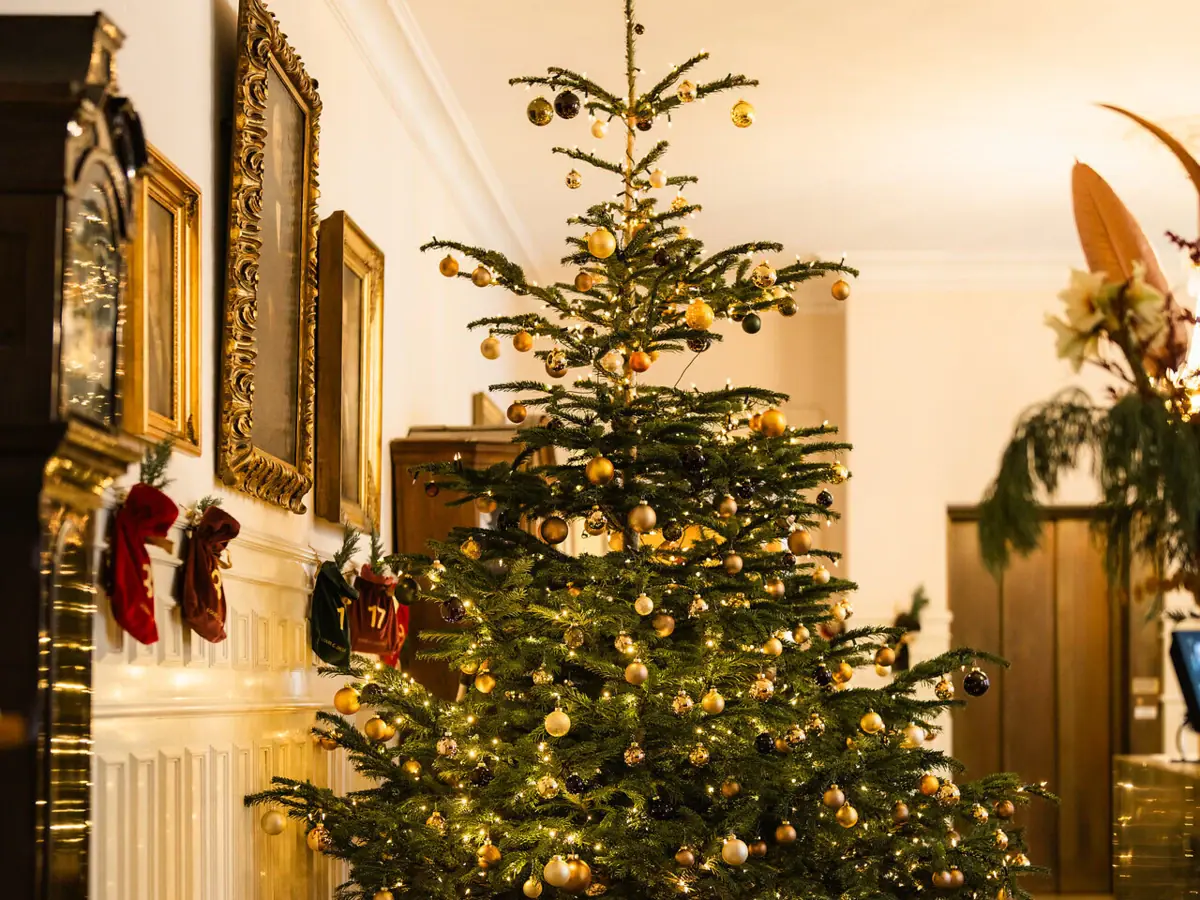 Weihnachtsbaum in einem Raum mit festlicher Dekoration.