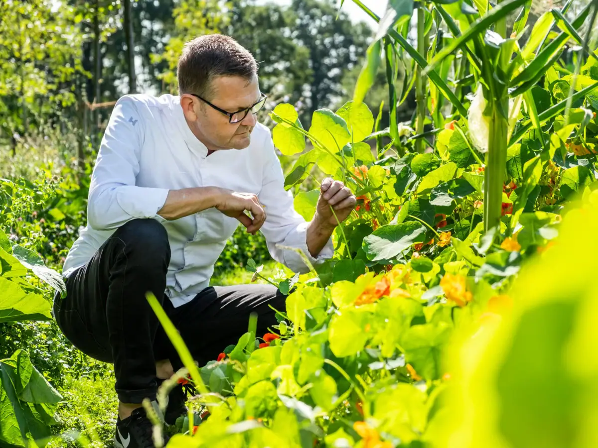 Sternekoch Thomas Martin begutachtet die Kapuziner Kresse.