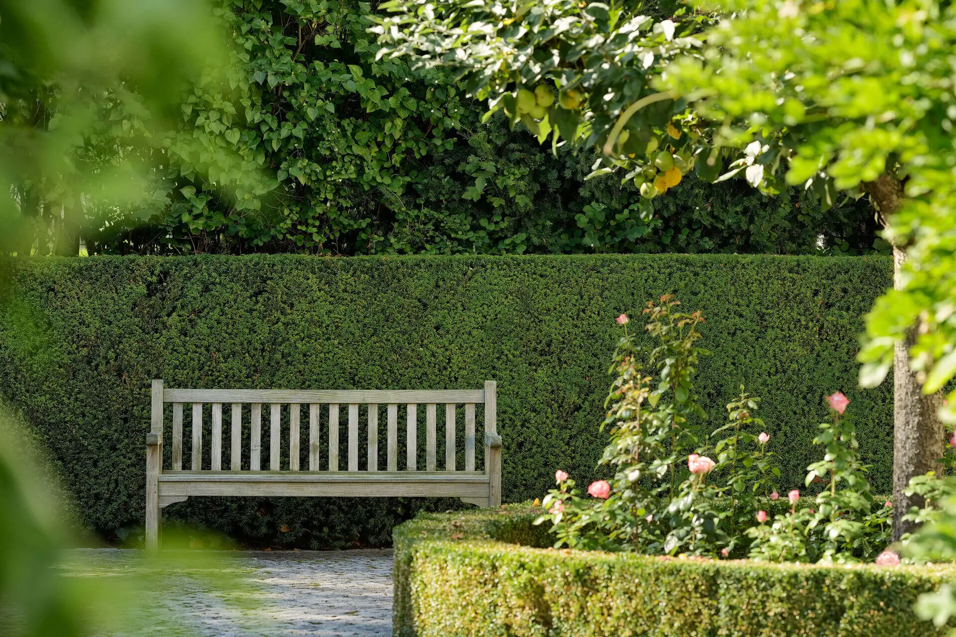 Eine Bank in einem Garten vor einer Hecke.