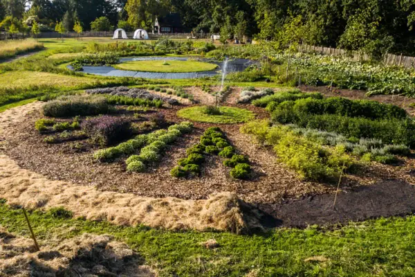 Ein Garten mit Gemüse- und Kräuterbeeten.