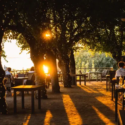 Eine Gruppe von Menschen sitzt an Tischen unter Bäumen im Freien auf der Lindenterrasse des Hotels Louis C. Jacob mit Blick auf die Elbe bei Sonnenuntergang.
